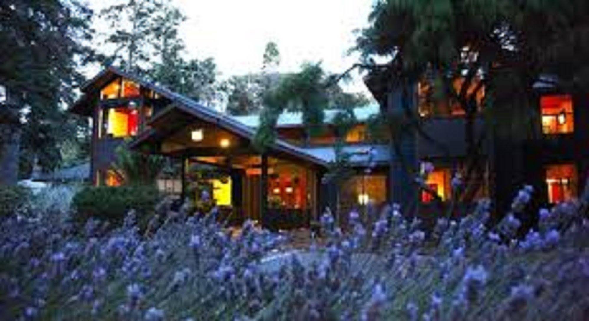 Glendeven Inn Little River Exterior photo