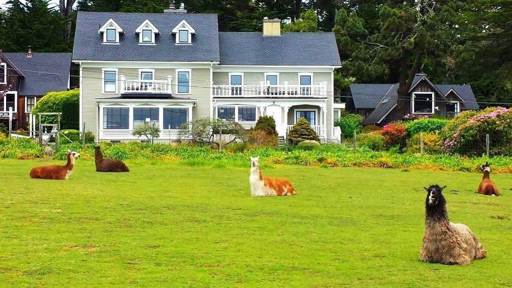 Glendeven Inn Little River Exterior photo